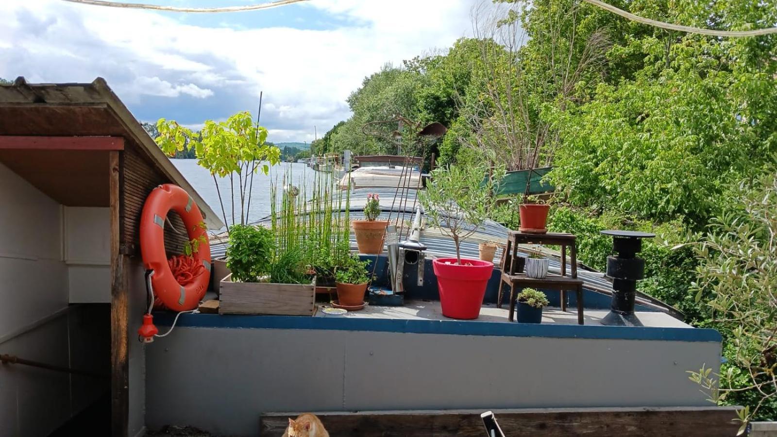 Séjour chez l'habitant Sur L'eau - Peniche La Diva Conflans-Sainte-Honorine
